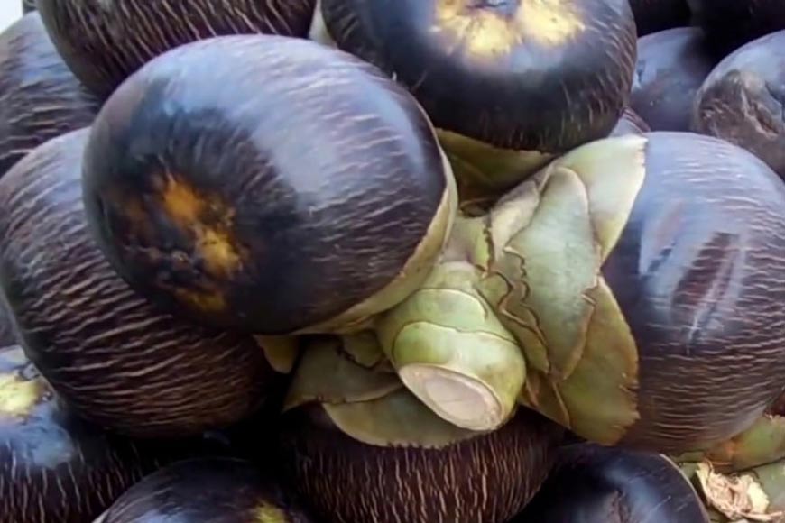 Taal Saas Summer Delight / Ice apple / Toddy Palm fruit (2 pcs.) | India Cuisine