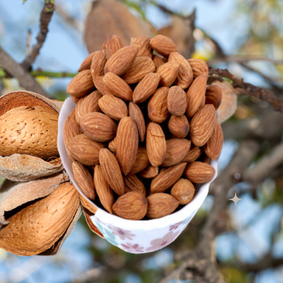 California Almond-Badam, premium quality | India Cuisine