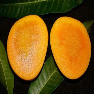 HIMSAGAR MANGO