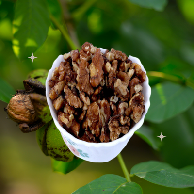Walnut (shell), premium quality | India Cuisine