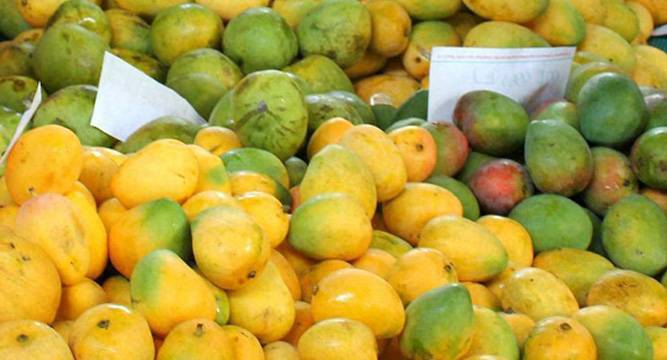Mango Source Aam ke Vividh Prakar: Types of Mangoes Found in India!
