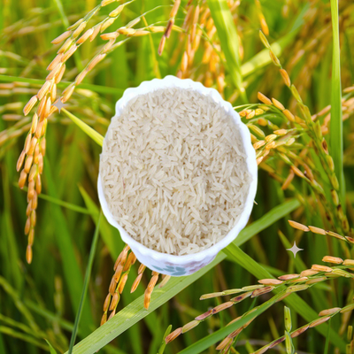 Baskati Rice Buy Baskati Rice online, premium quality | India Cuisine – INDIA CUISINE