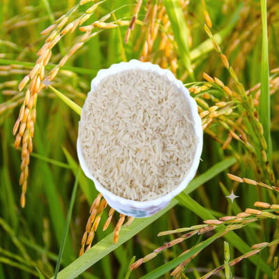 Baskati Rice from India Cuiisne, premium quality | India Cuisine