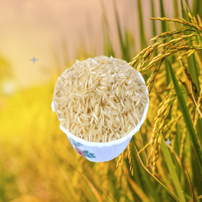 Biryani Rice, Haryana special | India Cuisine